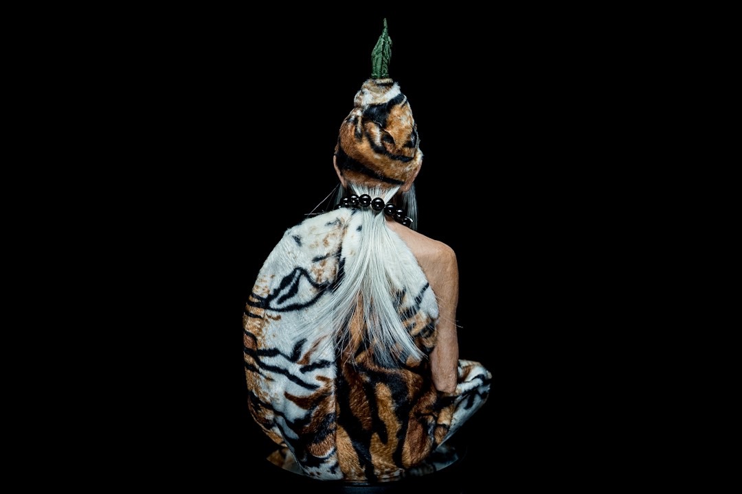 พญาภุชงค์นาคราชเจ้าวิสุทธิเทวา